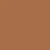 Vans AVE 2.0 Shoes - Brown Sugar